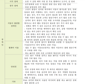 아메리칸 항공 장애인 세부내용.png