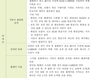 KLM 장애인 승객 세부내용.png