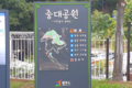 2024년 12월 2일 (월) 15:53 판의 섬네일